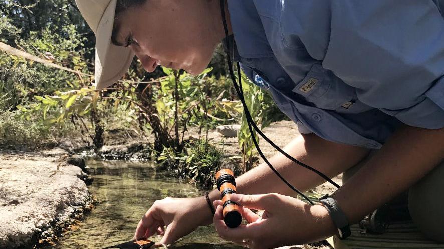 Wildlife officials ready rescue plan for tiny snail at risk from border wall work